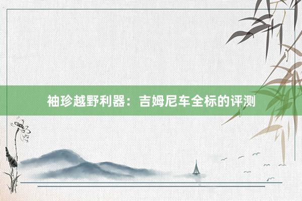 袖珍越野利器：吉姆尼车全标的评测